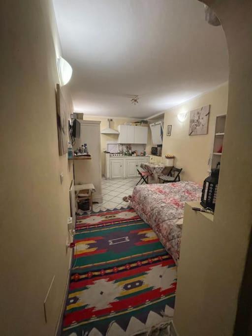 Monolocale Carino Daire Floransa Dış mekan fotoğraf